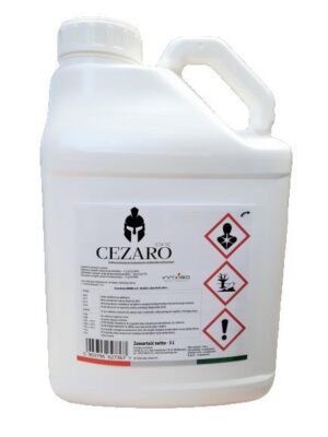 Cezaro 574 SC – herbicyd Innvigo do zbóż ozimych